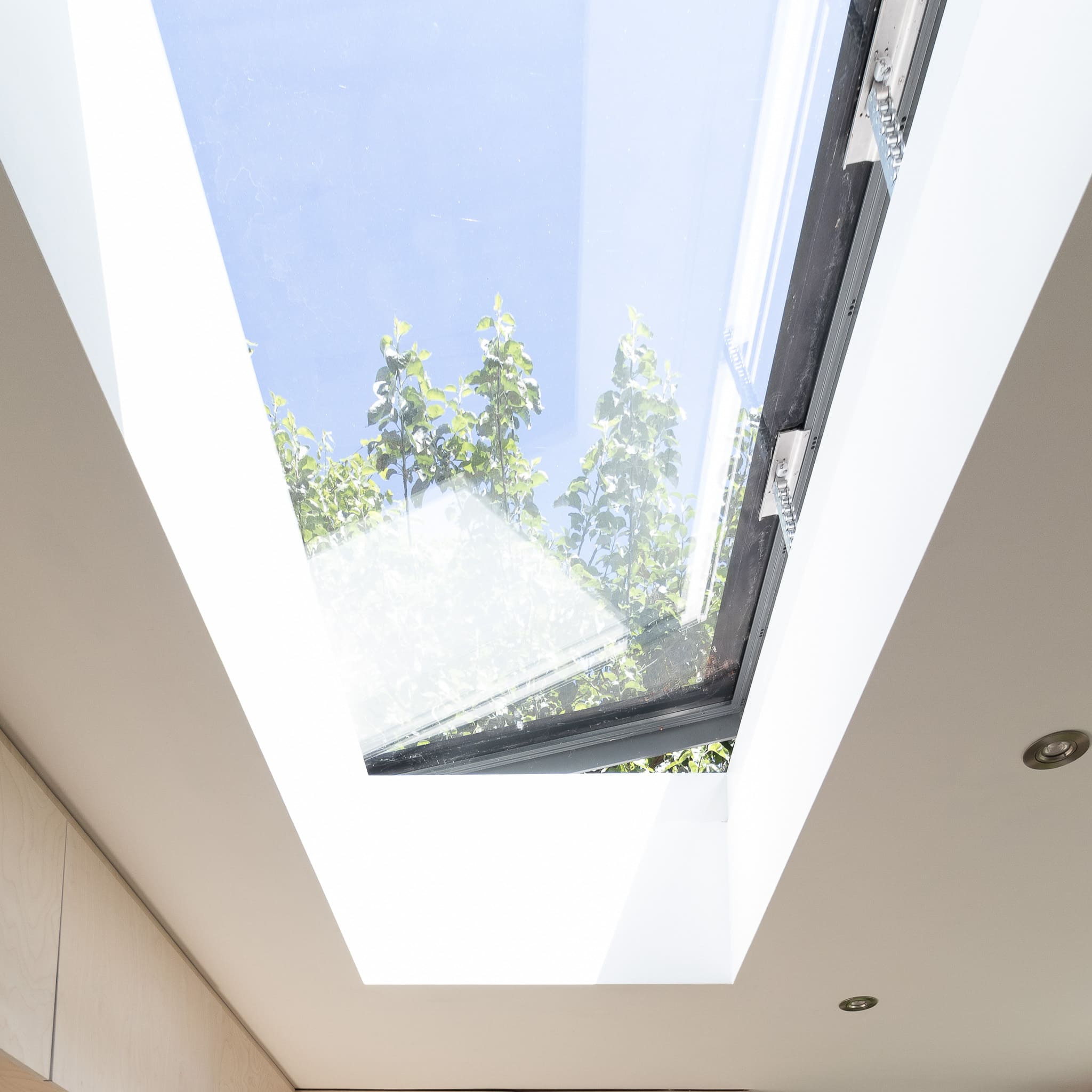 Choose Your Sky Light Electric