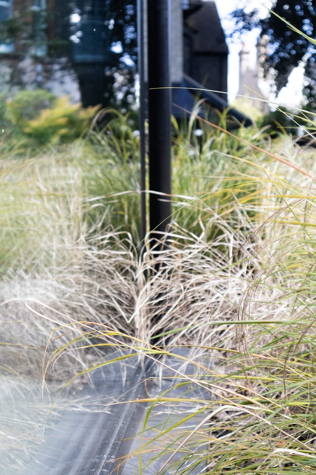 Modern Backyard Room