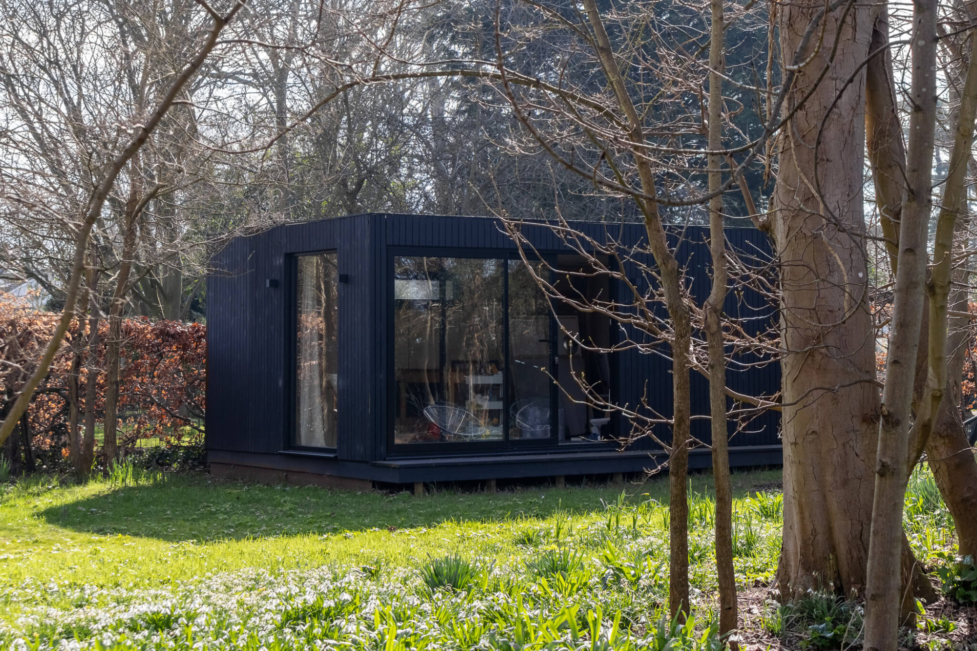 Backyard Shed Art Studio