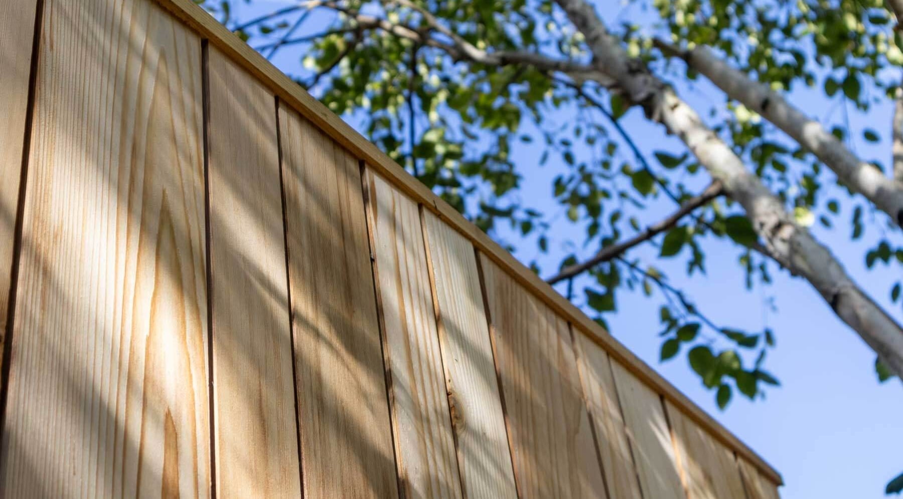 Home Gym and Sauna | Backyard Wellness & Fitness Rooms