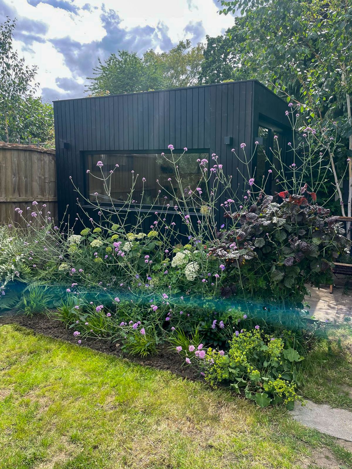 Black timber-clad backyard office on a slope framed by blooming purple Verbena bonariensis and lush backyard borders.